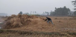 पराल बिक्री नहुँदा किसान चिन्तित