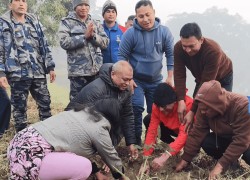 मधेस प्रदेश सरकारद्वारा शहीदहरूको स्मरणमा वृक्षारोपण