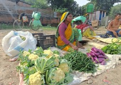 भारतबाट आउने तरकारीका कारण नेपाली किसान समस्यामा