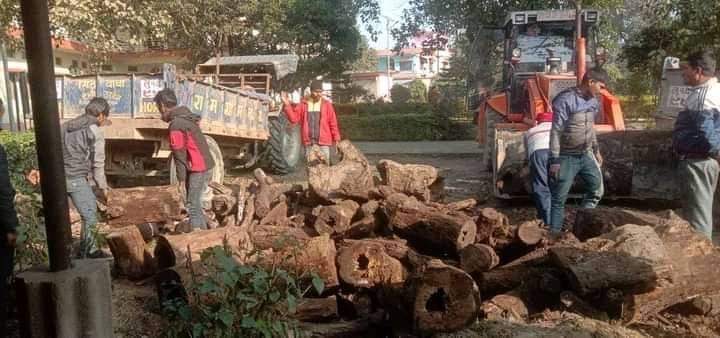 चिसो छल्न रामग्राम नगरपालिकाले गरे वितरण दाउरा ।