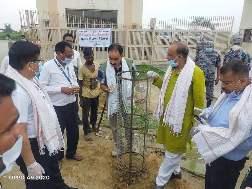 राष्ट्रिय वृक्षारोपण दिवसको अवसरमा डिभिजन वन कार्यालय पर्सा द्वारा वृक्षारोपण।