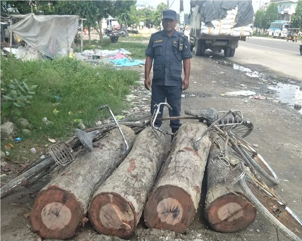 चन्द्रनिगाहपुरबाट सालको गोलियासहित साईकल बरामद।