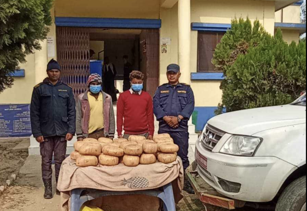 सखुवाप्रसौनीबाट लागू औषध गाँजाको धूलोसहित दुई जना पक्राउ ।