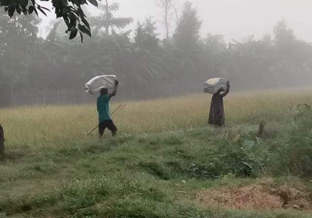 रौतहटको विभिन्न नाकाबाट भारतीय एसएसबी र घुमुवा, चौकी ईन्चार्जले खोले तस्करीको लाइन।