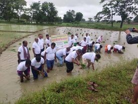 १९ औ रास्ट्रीय धान दिवसको अवसरमा  जिराभवानीमा  धान रोपाइ कार्यक्रम समपन्न