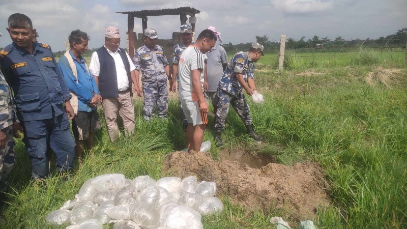 सशस्त्र प्रहरी बलद्धारा ठोरीबाट अवैध घरेलु मदिरा बरामद ।