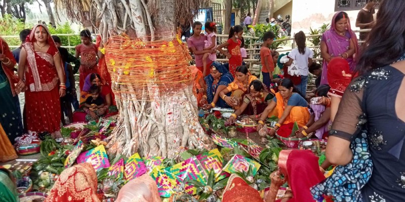 मिथिलाञ्चलमा वटसावित्री पर्व मनाइँदै