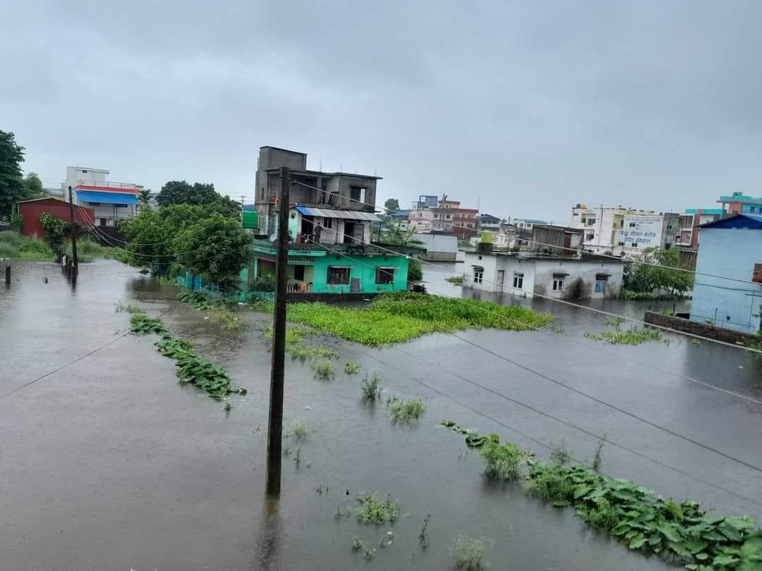 पानीको निकास नहुँदा जलमग्न बनेको विराटनगर (तस्बिरहरू)