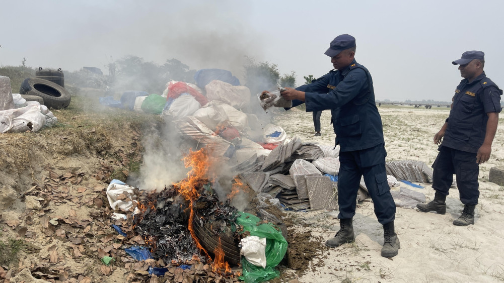 बरामद गरिएको २४ क्विन्टलभन्दा बढी गाँजा जलाएर नष्ट