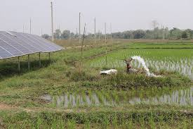 सिँचाइका लागि जडान गरेका आठवटा डिपट्युवेलका ट्रान्सफर्मर चोरी